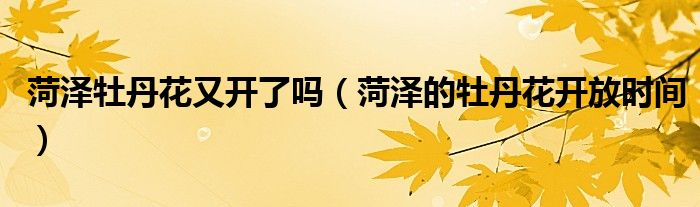 菏泽牡丹花又开了吗(菏泽的牡丹花开放时间)