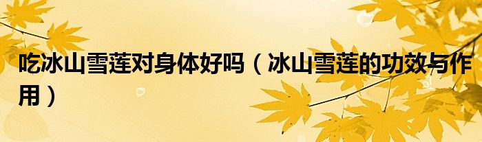 吃冰山雪莲对身体好吗(冰山雪莲的功效与作用)