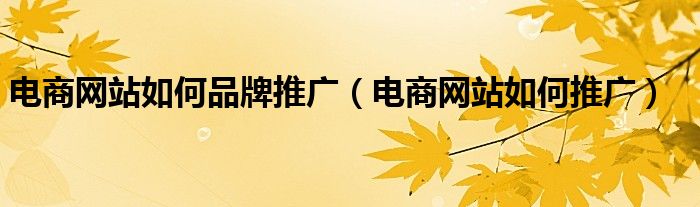 电商网站如何品牌推广(电商网站如何推广)