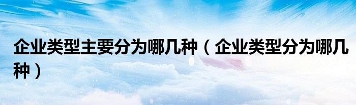 企业类型主要分为哪几种(企业类型分为哪几种)