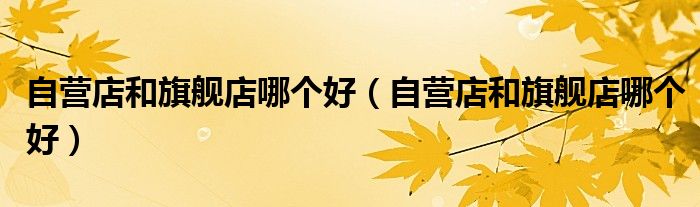 自营店和旗舰店哪个好(自营店和旗舰店哪个好)