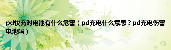 pd快充对电池有什么危害(pd充电什么意思?pd充电伤害电池吗)
