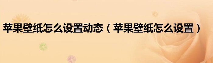 苹果壁纸怎么设置动态(苹果壁纸怎么设置)