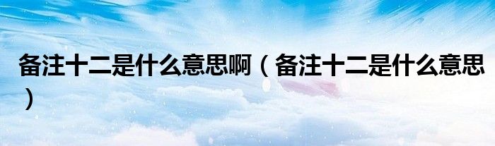 备注十二是什么意思啊(备注十二是什么意思)