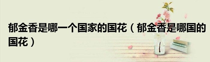 郁金香是哪一个国家的国花(郁金香是哪国的国花)