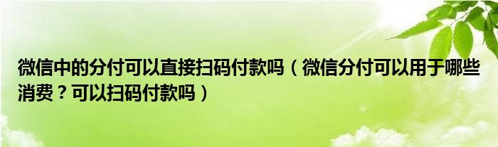 微信中的分付可以直接扫码付款吗(微信分付可以用于哪些消费?可以扫码付款吗)