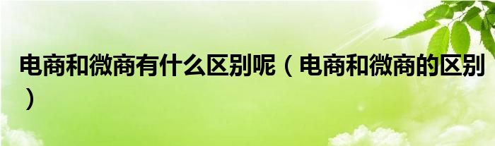 电商和微商有什么区别呢(电商和微商的区别)