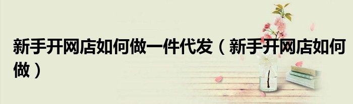 新手开网店如何做一件代发(新手开网店如何做)