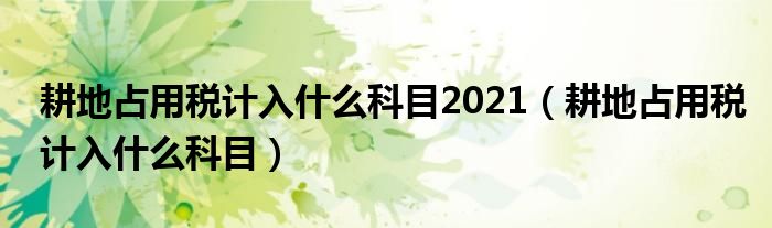 耕地占用税计入什么科目2021(耕地占用税计入什么科目)