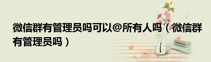 微信群有管理员吗可以@所有人吗(微信群有管理员吗)