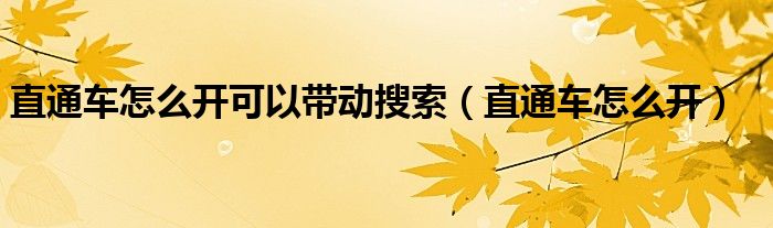 直通车怎么开可以带动搜索(直通车怎么开)