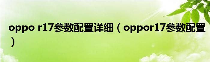 oppo r17参数配置详细(oppor17参数配置)