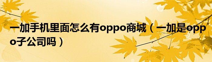 一加手机里面怎么有oppo商城(一加是oppo子公司吗)