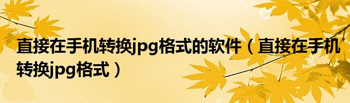 直接在手机转换jpg格式的软件(直接在手机转换jpg格式)