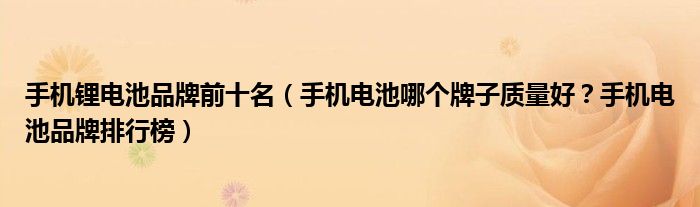 手机锂电池品牌前十名(手机电池哪个牌子质量好?手机电池品牌排行榜)
