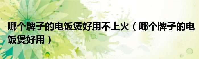 哪个牌子的电饭煲好用不上火(哪个牌子的电饭煲好用)