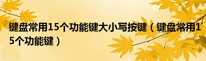 键盘常用15个功能键大小写按键(键盘常用15个功能键)