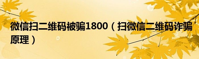 微信扫二维码被骗1800(扫微信二维码诈骗原理)