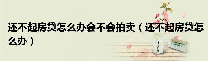 还不起房贷怎么办会不会拍卖(还不起房贷怎么办)
