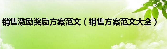 销售激励奖励方案范文(销售方案范文大全)