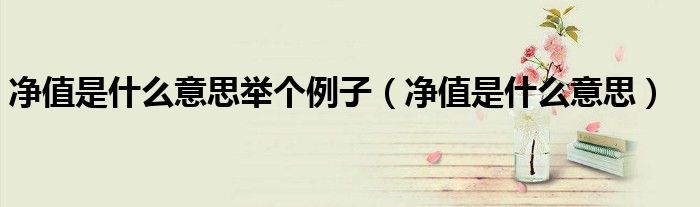 净值是什么意思举个例子(净值是什么意思)
