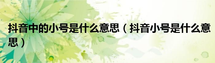 抖音中的小号是什么意思(抖音小号是什么意思)