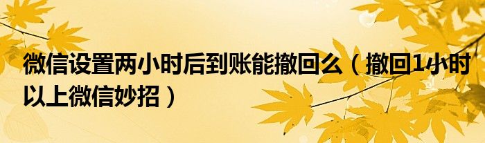 微信设置两小时后到账能撤回么(撤回1小时以上微信妙招)