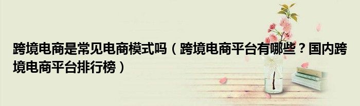 跨境电商是常见电商模式吗(跨境电商平台有哪些?国内跨境电商平台排行榜)