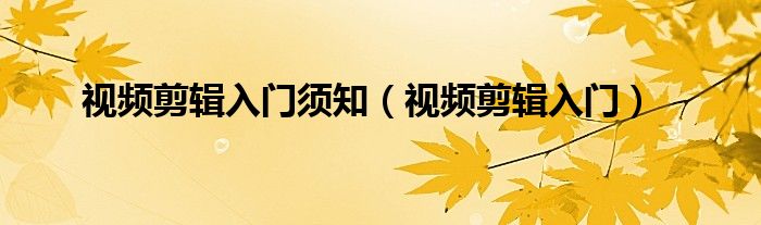 视频剪辑入门须知(视频剪辑入门)