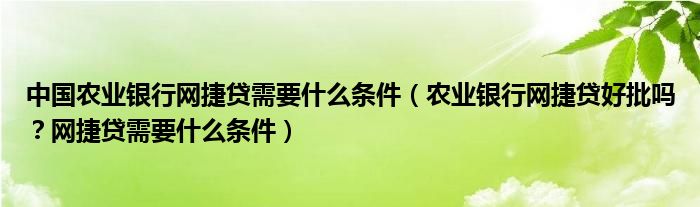 中国农业银行网捷贷需要什么条件(农业银行网捷贷好批吗?网捷贷需要什么条件)