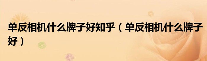 单反相机什么牌子好知乎(单反相机什么牌子好)