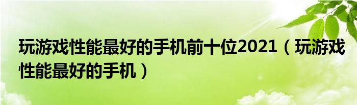 玩游戏性能最好的手机前十位2021(玩游戏性能最好的手机)