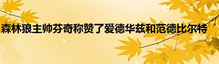 森林狼主帅芬奇称赞了爱德华兹和范德比尔特