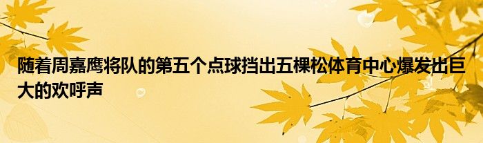 随着周嘉鹰将队的第五个点球挡出五棵松体育中心爆发出巨大的欢呼声