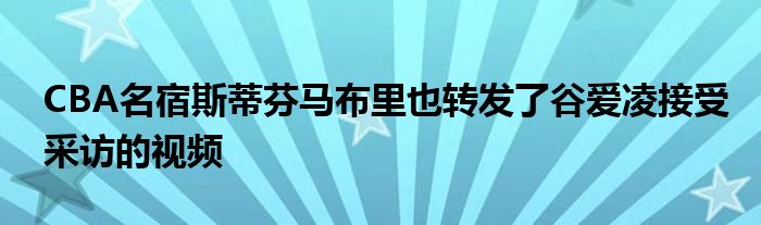 CBA名宿斯蒂芬马布里也转发了谷爱凌接受采访的视频