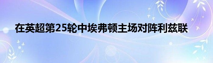 在英超第25轮中埃弗顿主场对阵利兹联