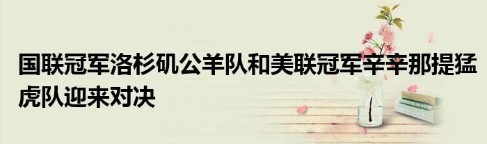 国联冠军洛杉矶公羊队和美联冠军辛辛那提猛虎队迎来对决