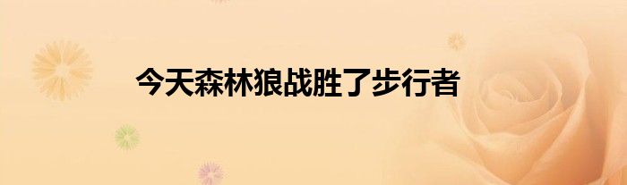 今天森林狼战胜了步行者