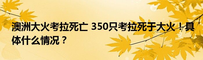 澳洲大火考拉死亡 350只考拉死于大火!具体什么情况?