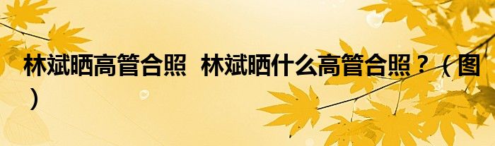 林斌晒高管合照 林斌晒什么高管合照?(图)