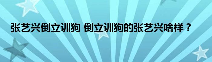 张艺兴倒立训狗 倒立训狗的张艺兴啥样？