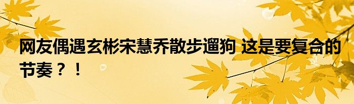 网友偶遇玄彬宋慧乔散步遛狗 这是要复合的节奏?!