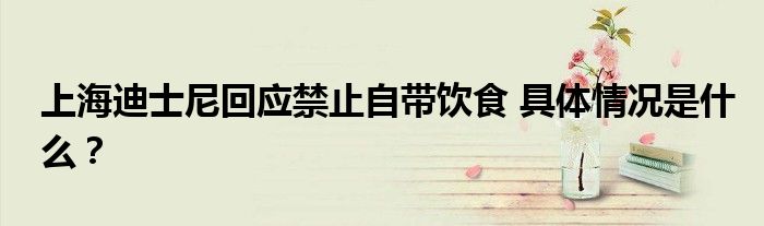 上海迪士尼回应禁止自带饮食 具体情况是什么?