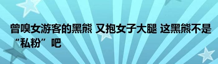 曾嗅女游客的黑熊 又抱女子大腿 这黑熊不是“私粉”吧