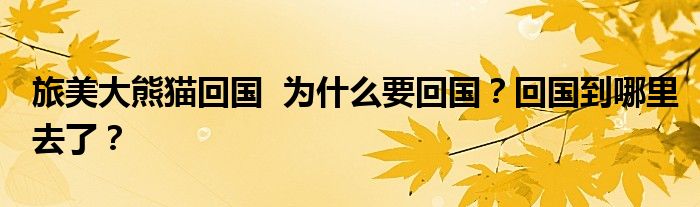 旅美大熊猫回国 为什么要回国?回国到哪里去了?