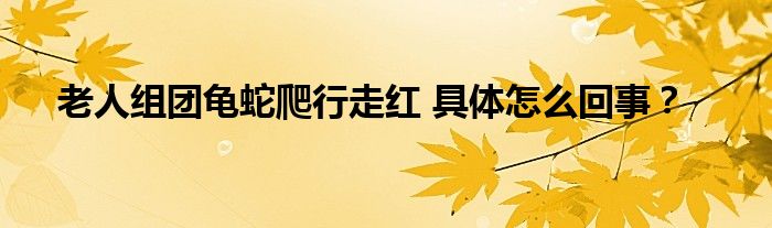 老人组团龟蛇爬行走红 具体怎么回事?