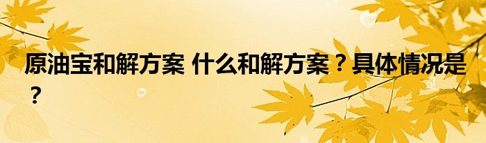 原油宝和解方案 什么和解方案?具体情况是?