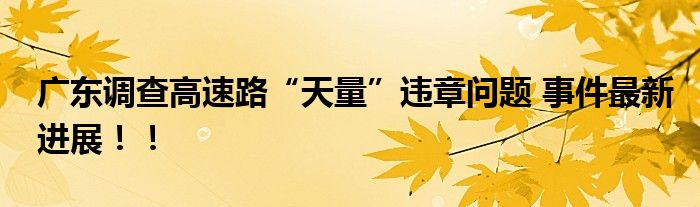广东调查高速路“天量”违章问题 事件最新进展！！