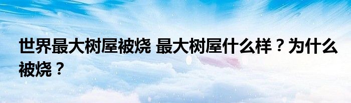 世界最大树屋被烧 最大树屋什么样?为什么被烧?