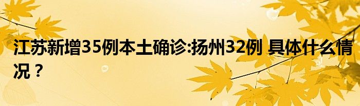 江苏新增35例本土确诊:扬州32例 具体什么情况?